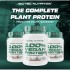 Scitec 100% Vegan Protein 植物蛋白粉, 1000g Scitec 100% Vegan Protein 植物蛋白粉, 1000g